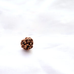 teen-mukhi-rudraksha